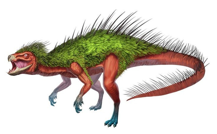  Hộp sọ mang nét “lai” giữa bò sát và động vật có vú. Cấu trúc sọ Pegomastax khiến nhiều nhà khoa học liên tưởng đến lợn rừng hoặc mèo răng kiếm thu nhỏ, rất khác hình dung quen thuộc về khủng long. Ảnh: Pinterest.