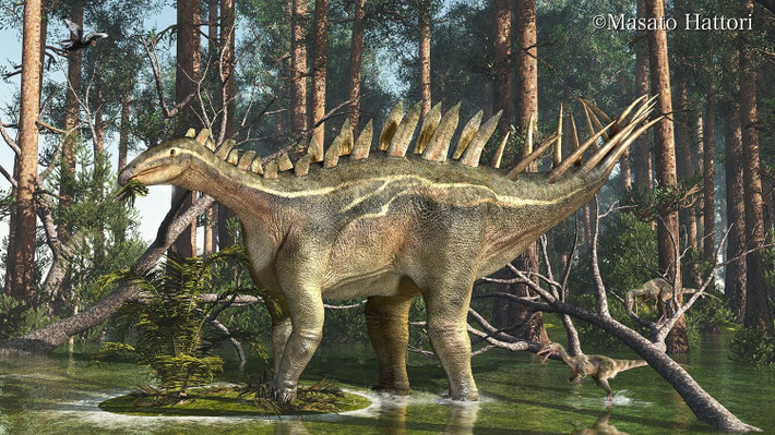  Thức ăn chủ yếu là thực vật thân thấp. Hàm răng nhỏ và cấu trúc miệng của Dacentrurus phù hợp với việc gặm cây bụi và dương xỉ. Ảnh: Pinterest.