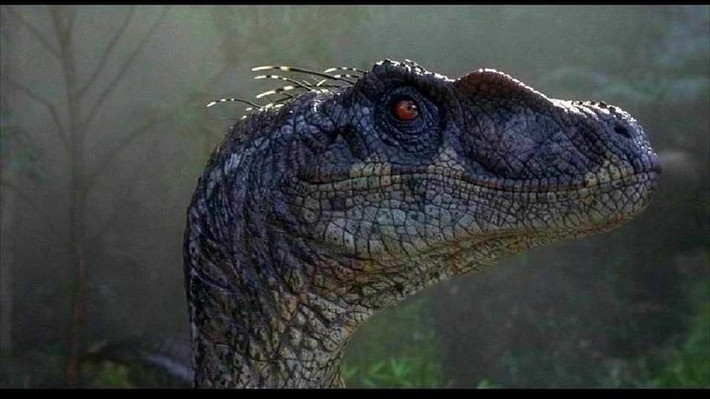  Não tương đối lớn so với kích thước. Tỷ lệ não–cơ thể gợi ý rằng chúng có mức độ khôn ngoan cao hơn nhiều loài khủng long khác. Ảnh: Pinterest.