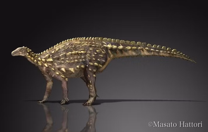  Sống vào đầu kỷ Jura. Scelidosaurus tồn tại khoảng 193–183 triệu năm trước, trong giai đoạn đầu kỷ Jura. Hóa thạch của chúng chủ yếu được tìm thấy ở Anh, đặc biệt tại vùng bờ biển Dorset. Ảnh: Pinterest.