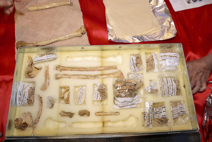 Việc phát hiện bộ xương có niên đại khoảng 12.500 – 12.000 năm tuổi “Chiến binh Tràng An” mang lại những giá trị khoa học nổi bật về bằng chứng hiếm về sự xung đột, bạo lực trong săn bắt, hái lượm của người tiền sử. Ngoài ra, mẫu DNA ty thể giúp các nhà khoa học có cái nhìn trực quan hơn, phân tích rõ hơn về di truyền học cổ đại. Ảnh: Báo Tiền Phong.