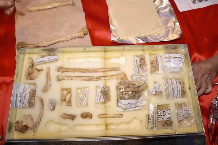 Việc phát hiện bộ xương có niên đại khoảng 12.500 – 12.000 năm tuổi “Chiến binh Tràng An” mang lại những giá trị khoa học nổi bật về bằng chứng hiếm về sự xung đột, bạo lực trong săn bắt, hái lượm của người tiền sử. Ngoài ra, mẫu DNA ty thể giúp các nhà khoa học có cái nhìn trực quan hơn, phân tích rõ hơn về di truyền học cổ đại. Ảnh: Báo Tiền Phong.