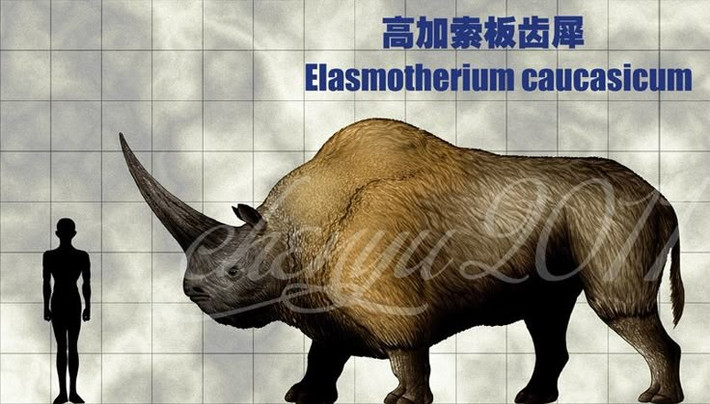Sở hữu chiếc sừng khổng lồ dài hơn 1,5 mét. Dù chưa được tìm thấy hóa thạch sừng, cấu trúc sọ cho thấy có phần gốc to bất thường, hỗ trợ giả thuyết này. Ảnh: Pinterest.