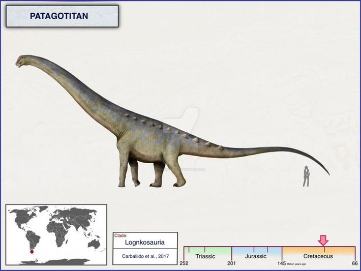  Patagotitan là loài khủng long lớn nhất từng được phát hiện. Chiều dài của nó có thể lên tới 37 mét và nặng hơn 70 tấn, nặng bằng khoảng 17–18 con voi châu Á. Ảnh: Pinterest.