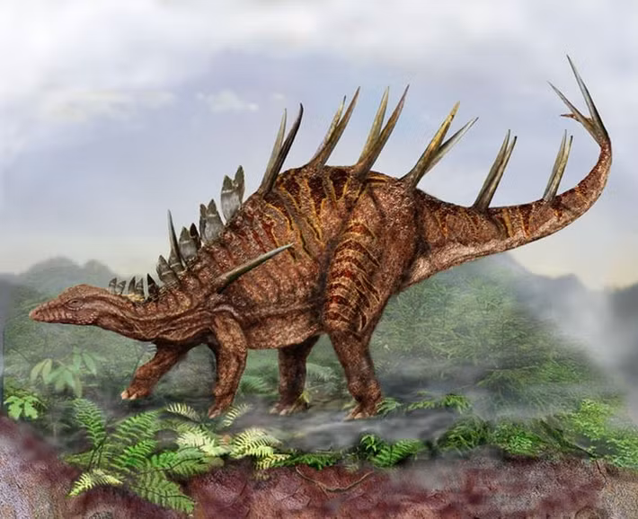  Tên gọi mang ý nghĩa “thằn lằn gai nhọn”. Tên Kentrosaurus bắt nguồn từ tiếng Hy Lạp, trong đó “kentron” nghĩa là mũi nhọn và “sauros” nghĩa là thằn lằn, phản ánh trực tiếp hệ thống gai sắc bén trên lưng và đuôi. Ảnh: Pinterest.