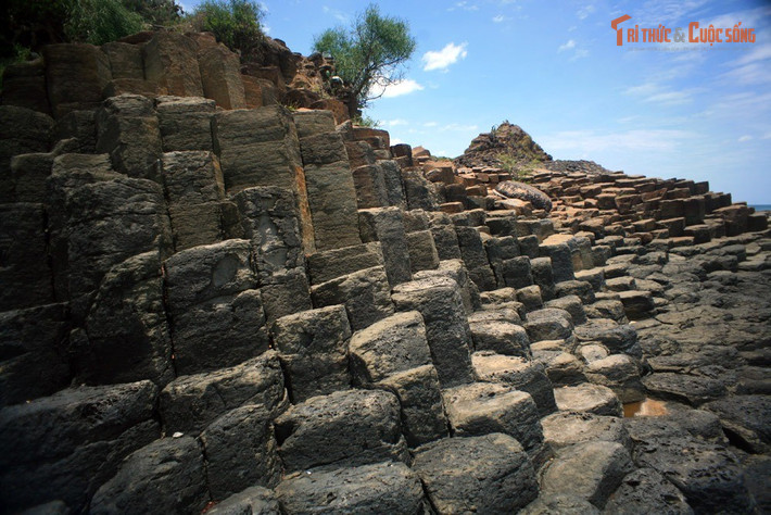 Là một trong những trục đá dạng cột đẹp nhất thế giới. Nhiều nhà địa chất học so sánh Gành Đá Đĩa với kỳ quan Giant’s Causeway ở Ireland.