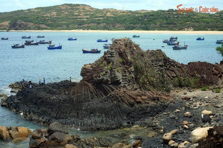 Gồm hơn 35.000 trụ đá xếp lớp thành từng mảng. Số lượng các cột đá tự nhiên cực lớn khiến Gành Đá Đĩa trở thành hiện tượng địa chất hiếm thấy.