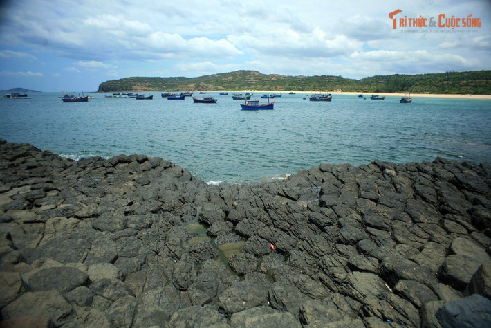 Thu hút hàng vạn du khách mỗi năm. Cảnh quan kỳ vĩ khiến Gành Đá Đĩa đây trở thành biểu tượng du lịch của khu vực.