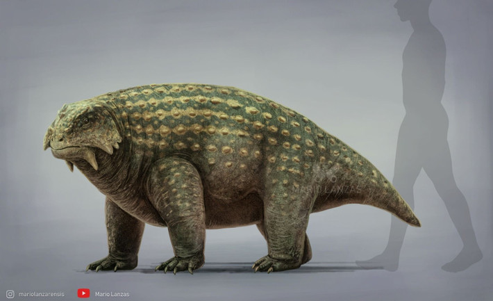  Là loài ăn thực vật. Hàm rộng và răng cùn cho phép chúng nghiền các loại cây cứng của kỷ Permi. Ảnh: Pinterest.