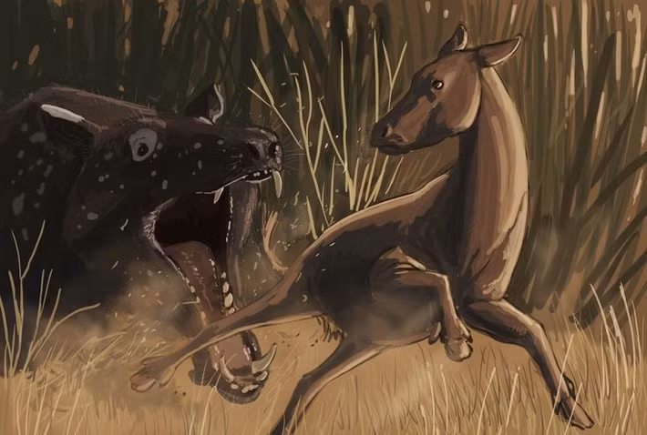  Áp lực từ kẻ săn mồi. Thảo nguyên mở khiến ngựa dễ bị phát hiện, vì vậy tốc độ trở thành yếu tố sống còn, thúc đẩy chọn lọc những cá thể chạy nhanh và bền hơn. Ảnh: Pinterest.