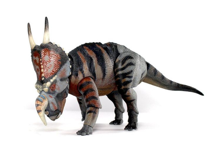  Là mắt xích quan trọng trong tiến hóa khủng long sừng. Einiosaurus được xem là dạng chuyển tiếp giữa các loài ceratopsia cổ hơn và những loài tiến hóa sau này. Việc nghiên cứu loài này giúp làm sáng tỏ quá trình biến đổi hình dạng sừng và diềm cổ qua hàng triệu năm. Ảnh: Pinterest.