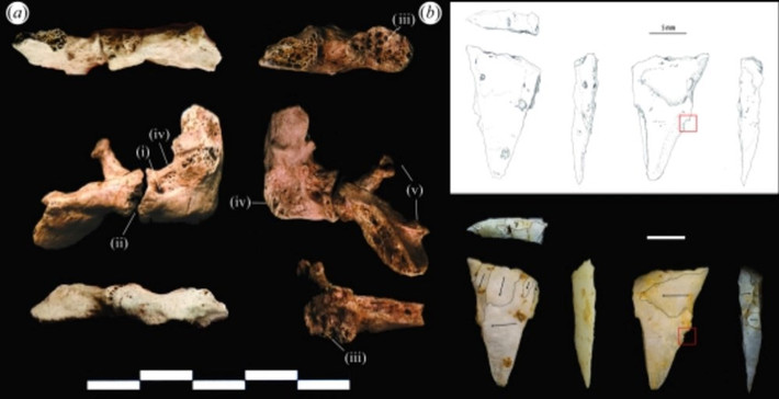 Đó là một bộ xương người đàn ông khoẻ mạnh, cao 1,7m và qua đời khi 35 tuổi có niên đại khoảng 12.500 – 12.000 năm trước, được bảo tồn đặc biệt tốt. Ảnh: Báo Văn Hóa.
