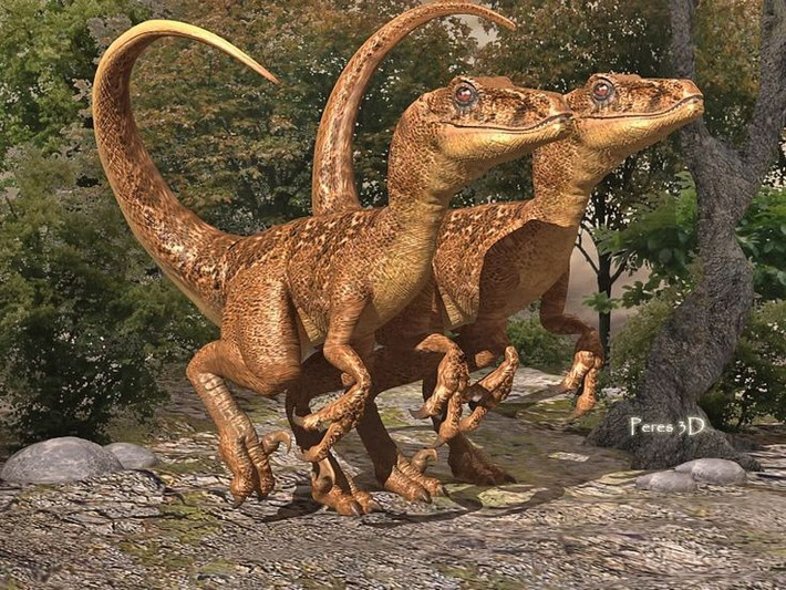  Hộp sọ nhẹ nhưng chắc chắn. Cấu tạo đầu giúp Velociraptor cắn nhanh và chính xác khi tấn công. Ảnh: Pinterest.