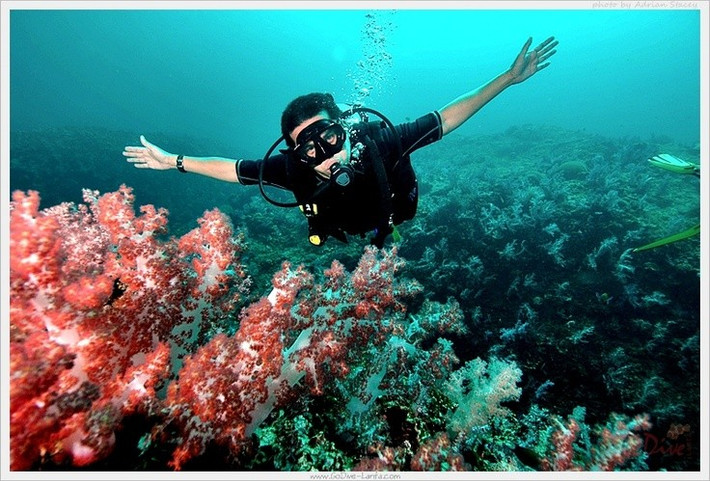  Điểm đến lặn biển hàng đầu châu Á. Nước biển Côn Đảo trong vắt, tầm nhìn xa và có nhiều điểm lặn hấp dẫn, thu hút du khách quốc tế đến khám phá san hô và đời sống biển. Ảnh: Pinterest.