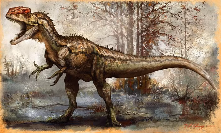  Tên gọi nghĩa là “thằn lằn mào đơn”. Tên gọi Monolophosaurus có nguồn gốc từ tiếng Hy Lạp, trong đó “mono” nghĩa là một, “lophos” là mào và “sauros” là thằn lằn, ám chỉ chiếc mào xương lớn chạy dọc trên đỉnh hộp sọ. Đặc điểm này khiến nó khác biệt rõ rệt so với nhiều khủng long ăn thịt khác. Ảnh: Pinterest.