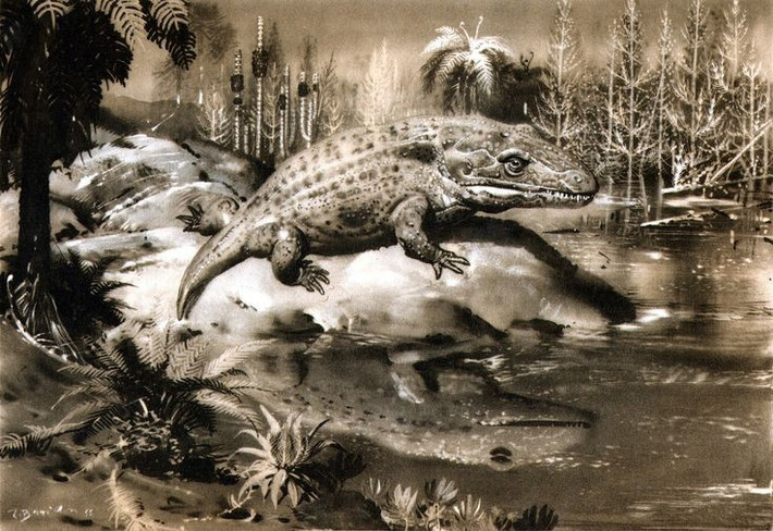 Dài tới 6 mét. Là loài lưỡng cư lớn nhất từng tồn tại, Mastodonsaurus có cơ thể dài như một chiếc xe hơi và đầu chiếm gần 1/3 chiều dài. Ảnh: Pinterest.