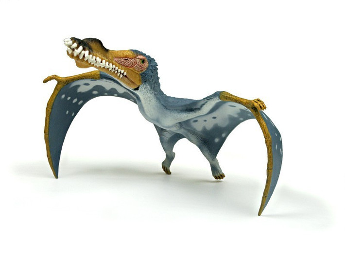  Một trong những pterosaur nổi tiếng nhất Nam Mỹ. Nhờ các hóa thạch được bảo tồn tốt và hình dạng đặc biệt, Anhanguera trở thành một trong những loài bò sát bay nổi tiếng nhất được nghiên cứu ở Nam Mỹ. Hình ảnh của nó thường xuất hiện trong sách khoa học, bảo tàng và các bộ phim tài liệu về thế giới tiền sử. Ảnh: dinosaurpictures.org.