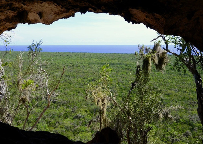  Có nhiều hang động và di chỉ khảo cổ thời tiền Columbus. Những bằng chứng lịch sử này cho thấy con người đã sinh sống tại đây từ hàng nghìn năm trước. Ảnh: rainforesttrust.org.