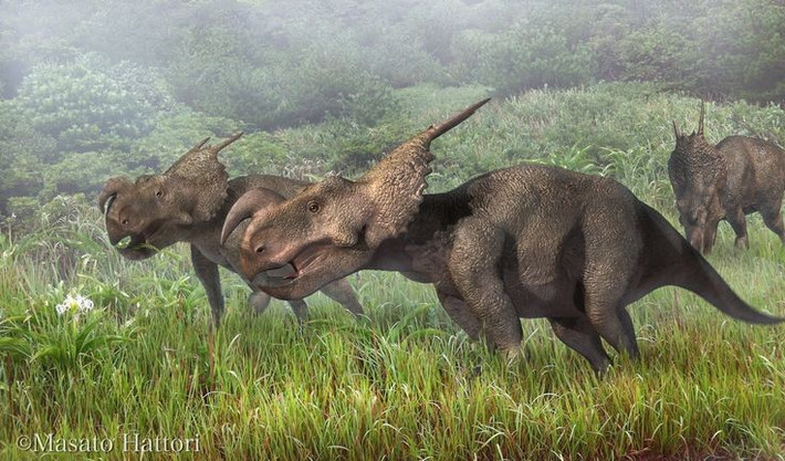  Sống theo nhóm để tăng khả năng sinh tồn. Nhiều hóa thạch Einiosaurus được tìm thấy tập trung tại cùng địa điểm, cho thấy chúng có thể sống và di chuyển theo đàn lớn. Hành vi này giúp giảm nguy cơ bị khủng long ăn thịt tấn công. Ảnh: Pinterest.