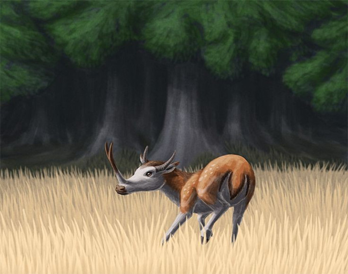  Sở hữu cặp sừng mũi phân nhánh độc đáo. Đặc điểm nổi bật nhất của Synthetoceras là cặp sừng mọc trên mũi, tách nhánh như chữ Y, khác hẳn sừng của hươu hay linh dương. Ảnh: Pinterest.