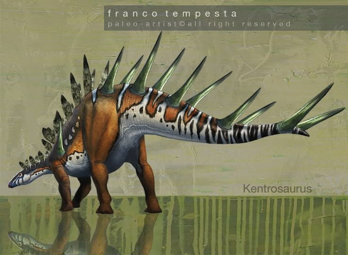  Ăn thực vật thấp sát mặt đất. Với hàm răng nhỏ và mỏ thích nghi, Kentrosaurus chủ yếu gặm các loại dương xỉ, cây bụi thấp và thảm thực vật gần mặt đất. Ảnh: Pinterest.