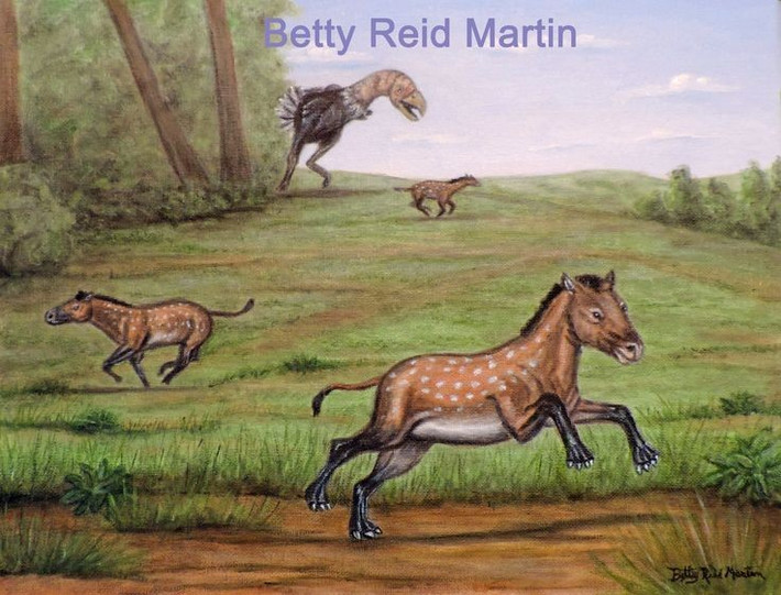  Chuyển từ rừng sang thảo nguyên. Khi khí hậu Trái Đất dần khô hơn, tổ tiên ngựa thích nghi với môi trường thảo nguyên mở, dẫn đến sự thay đổi về kích thước cơ thể, cấu trúc chân và cách di chuyển. Ảnh: Pinterest.