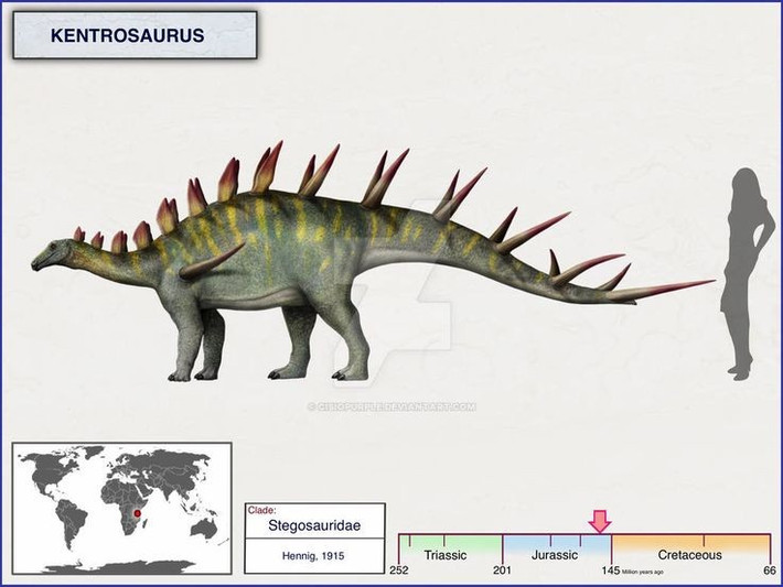  Kích thước nhỏ nhưng không yếu. So với nhiều khủng long ăn cỏ cùng thời, Kentrosaurus khá nhỏ, chỉ dài khoảng 4–5 mét, nhưng lớp giáp gai dày đặc giúp nó trở thành mục tiêu không dễ bị tấn công. Ảnh: Pinterest.