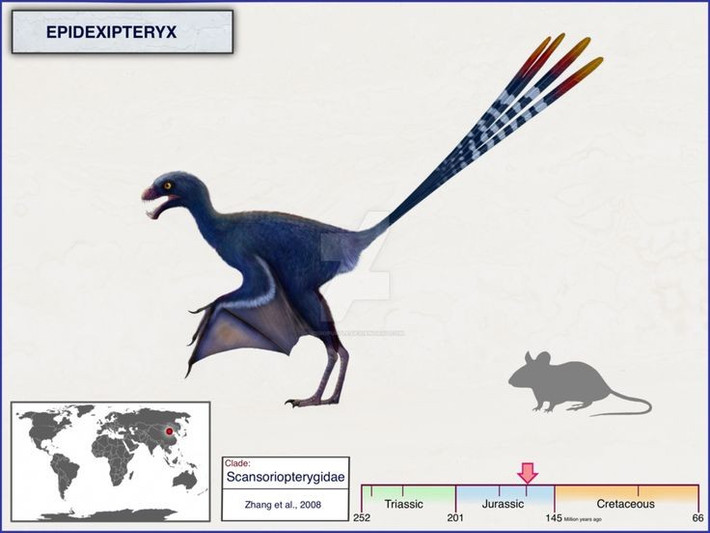  Là họ hàng xa của chim hiện đại. Epidexipteryx cung cấp bằng chứng về mối liên hệ giữa khủng long và chim. Ảnh: Pinterest.