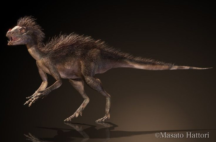  Là một trong những khủng long nhỏ nhất từng được biết đến. Pegomastax chỉ dài khoảng 60–70 cm, kích thước tương đương một con mèo nhà, cho thấy khủng long không phải lúc nào cũng khổng lồ. Ảnh: Pinterest.