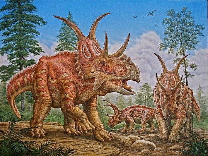 Hóa thạch của chúng được phát hiện năm 1998 tại Utah, Mỹ. Đây là phát hiện hiếm hoi và quý giá đối với ngành cổ sinh vật học. Ảnh: Pinterest.