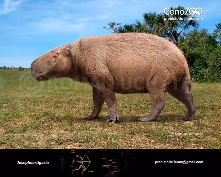  Sống ở Nam Mỹ khoảng 2–3 triệu năm trước. Hóa thạch của chúng được tìm thấy ở Uruguay, niên đại cuối kỷ Pliocene. Ảnh: Pinterest.