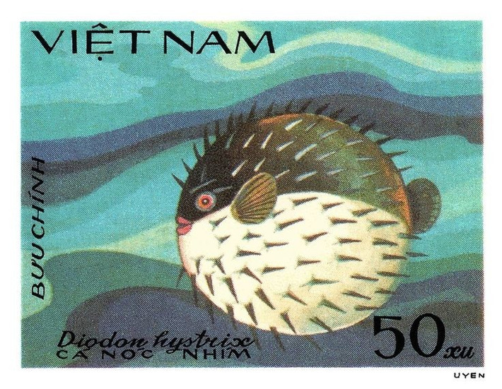  Hành vi ẩn mình giúp chúng sống sót qua nhiều kẻ thù. Cá nóc nhím thường chui vào kẽ đá để lẩn tránh kẻ thù. Phải phồng người thành quả cầu gai là giải pháp tự vệ cuối cùng. Ảnh: Pinterest.