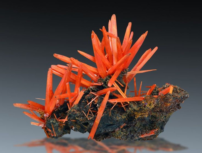  Nổi tiếng nhất ở Tasmania (Úc). Các mỏ ở Dundas, Tasmania, Australia, là nơi có những tinh thể crocoite đẹp nhất thế giới. Ảnh: Pinterest.