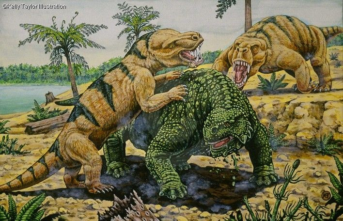  Có kích thước khá lớn. Một con trưởng thành dài khoảng 2,5–3 m, khiến chúng trở thành con mồi khó xơi đối những kẻ săn thời đó. Ảnh: Pinterest.