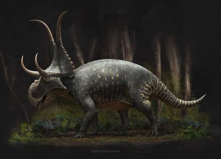  Kích thước của chúng nhỏ hơn nhiều so với Triceratops. Diabloceratops dài khoảng 5 mét và nặng hơn một tấn. Ảnh: Pinterest.