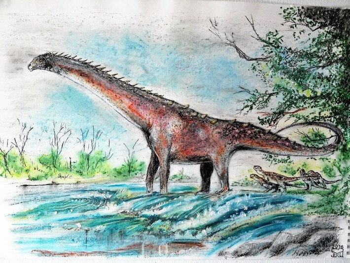  Hóa thạch được tìm thấy ở Patagonia, Argentina. Nhờ đó, loài khủng long này được đặt tên Patagotitan – nghĩa là “người khổng lồ của Patagonia”. Ảnh: Pinterest.