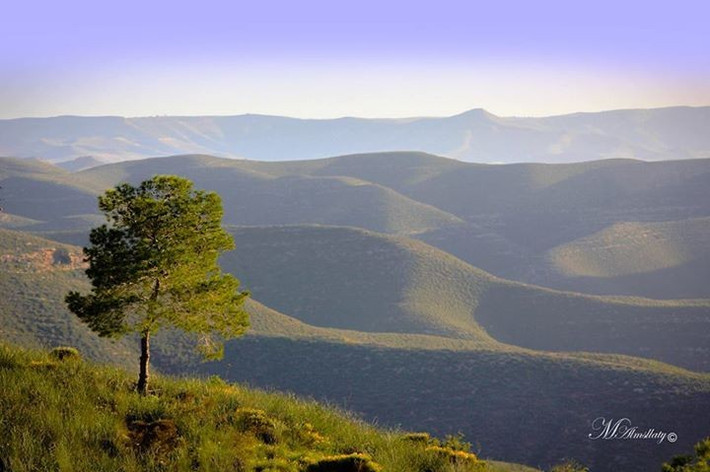  Được UNESCO công nhận Di sản Thế giới. Năm 2018, Makhonjwa chính thức được UNESCO công nhận nhờ giá trị địa chất và khoa học nổi bật, khẳng định tầm quan trọng toàn cầu của khu vực này. Ảnh: Pinterest.