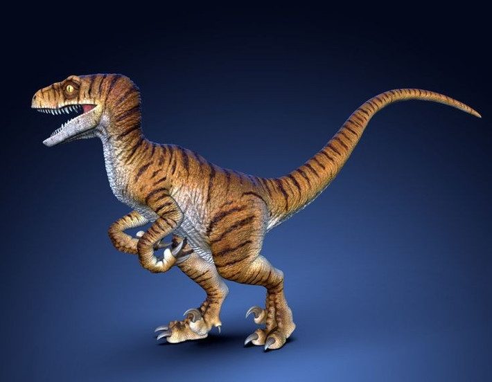  Chúng rất nhanh và khéo léo. Cấu trúc xương nhẹ cho phép chúng chạy linh hoạt để săn mồi nhỏ. Ảnh: Pinterest.