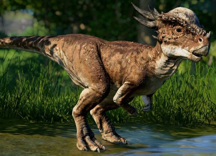  Có thể là giai đoạn non của Pachycephalosaurus. Một số nhà khoa học cho rằng Stygimoloch thực ra là cá thể non của loài khủng long đầu vòm lớn hơn. Ảnh: Pinterest.