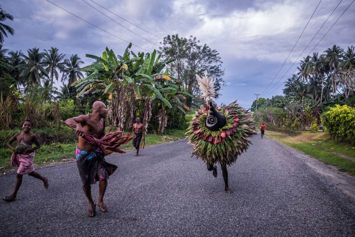  Kinh tế truyền thống gắn với nông nghiệp và dừa. Người Tolai trồng khoai môn, chuối và đặc biệt là dừa để sản xuất cùi dừa khô – mặt hàng xuất khẩu quan trọng trong thời kỳ thuộc địa. Ảnh: hakaimagazine.com.