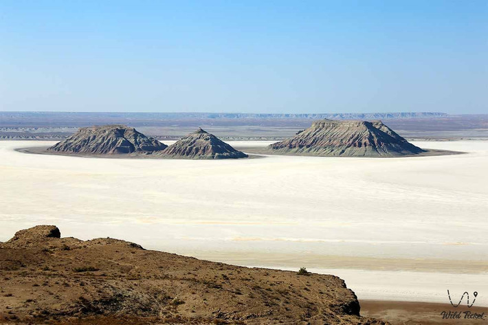 Hệ sinh thái thích nghi đặc biệt. Dù khô cằn, hoang mạc Turan vẫn là nơi sinh sống của nhiều loài động thực vật thích nghi tốt với môi trường khắc nghiệt, như linh dương saiga, cáo sa mạc, thằn lằn và các loài cây bụi chịu hạn. Những loài này đã tiến hóa để tiết kiệm nước và chịu được nhiệt độ khắc nghiệt. Ảnh: wildticketasia.com.
