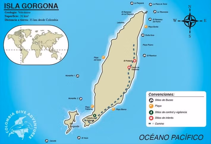  Là mắt xích quan trọng trong “hành lang biển” Đông Thái Bình Dương. Malpelo nằm trên tuyến di cư của nhiều loài sinh vật biển lớn giữa các khu vực như Galápagos, Cocos và bờ biển Trung Mỹ. Vai trò này khiến khu bảo tồn trở thành trạm trung chuyển sinh thái quan trọng trong mạng lưới bảo tồn biển khu vực. Ảnh: Pinterest.