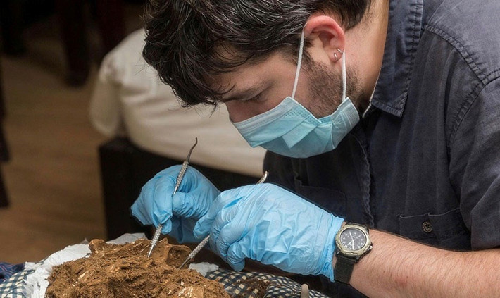 Phát hiện quan trọng giúp các nhà khoa học có cái nhìn mới trong lĩnh vực khảo cổ học, cổ nhân học, di truyền học và tương tác xã hội trong cộng đồng dân cư thời tiền sử ở Việt Nam và Đông Nam Á. Ảnh: Báo Văn Hóa.