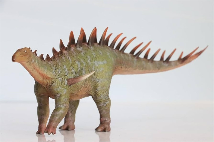  Sống chủ yếu ở Tây Âu thời Jura muộn. Hóa thạch Dacentrurus được tìm thấy tại Anh, Pháp và Tây Ban Nha. Ảnh: media-amazon.com.