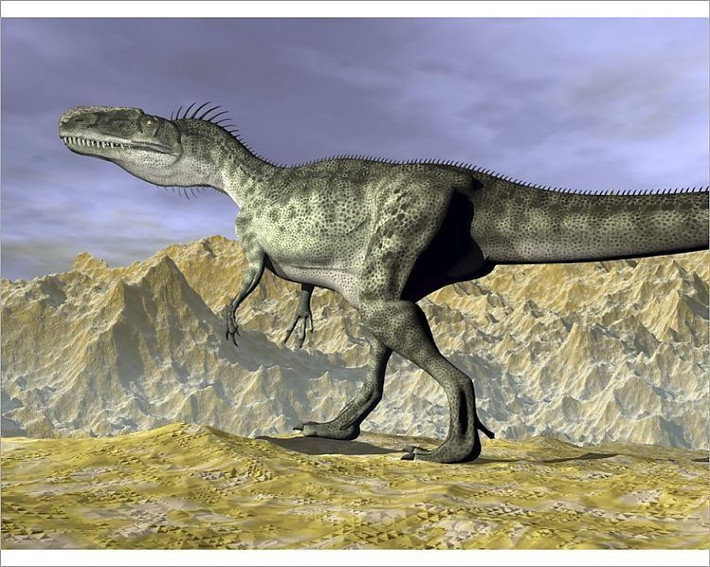  Có thể sống gần khu vực nhiều nước. Một số bằng chứng địa chất cho thấy môi trường nơi tìm thấy hóa thạch từng là vùng đồng bằng ven hồ hoặc sông, gợi ý rằng Monolophosaurus có thể săn mồi trong môi trường bán thủy sinh hoặc gần nguồn nước. Ảnh: Pinterest.