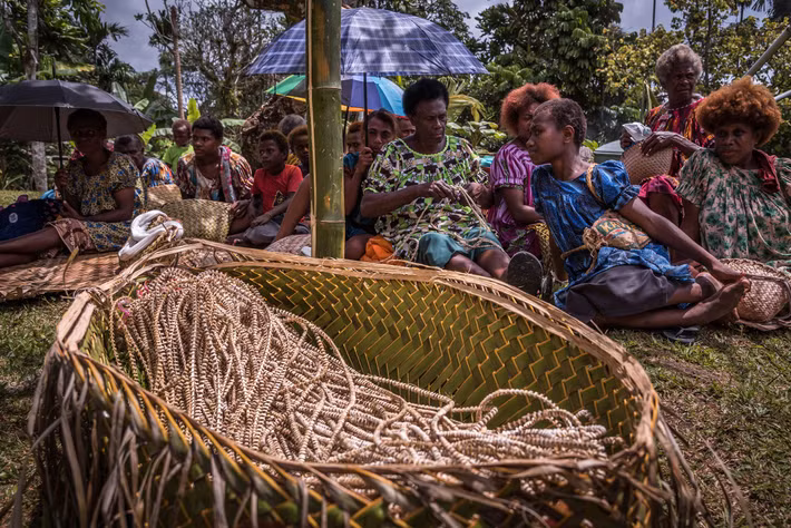  Nghi lễ và lễ hội mang tính cộng đồng cao. Các nghi thức vòng đời, lễ trao đổi tabu và các buổi khiêu vũ truyền thống là dịp thể hiện bản sắc văn hóa, củng cố quan hệ họ hàng và vị thế xã hội của người Tolai. Ảnh: hakaimagazine.com.