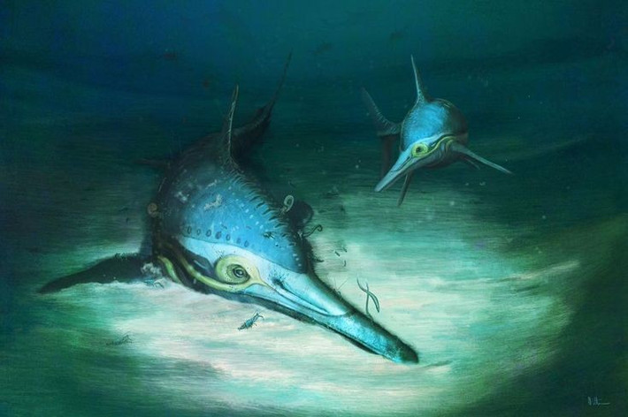  Đôi mắt to nhất trong giới động vật có xương sống. Hóa thạch cho thấy mắt của chúng có đường kính tới 25 cm. Ảnh: Pinterest.