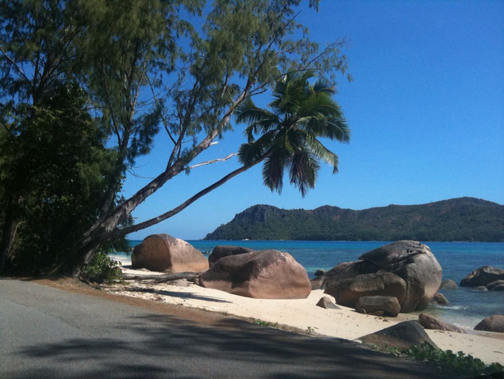  Hệ sinh thái gần như nguyên sơ. Do vị trí biệt lập và ít bị con người tác động, đảo giữ được môi trường tự nhiên với các loài động thực vật đặc hữu phong phú. Ảnh: Pinterest.