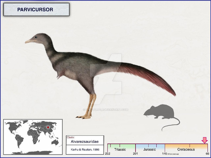  Parvicursor – bé nhưng nhanh nhẹn. Parvicursor dài khoảng 60 cm, thân hình mảnh khảnh, chân sau khỏe, được cho là có khả năng chạy rất nhanh để tránh kẻ săn mồi. Ảnh: dinosaurpictures.org.