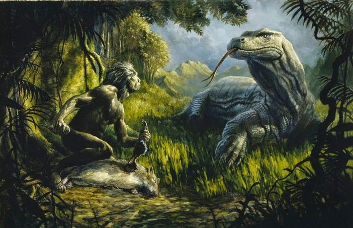  Nguyên nhân tuyệt chủng còn tranh cãi. Sự biến mất của kỳ đà khổng lồ có thể liên quan đến biến đổi khí hậu cuối kỷ băng hà hoặc sự xuất hiện của con người tại Australia, làm thay đổi môi trường sống và nguồn thức ăn. Ảnh: Pinterest.